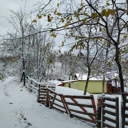 Holiday Home Nanin Konak 2 Vrdnik Buitenkant foto
