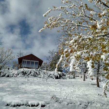 Holiday Home Nanin Konak 2 Vrdnik Buitenkant foto