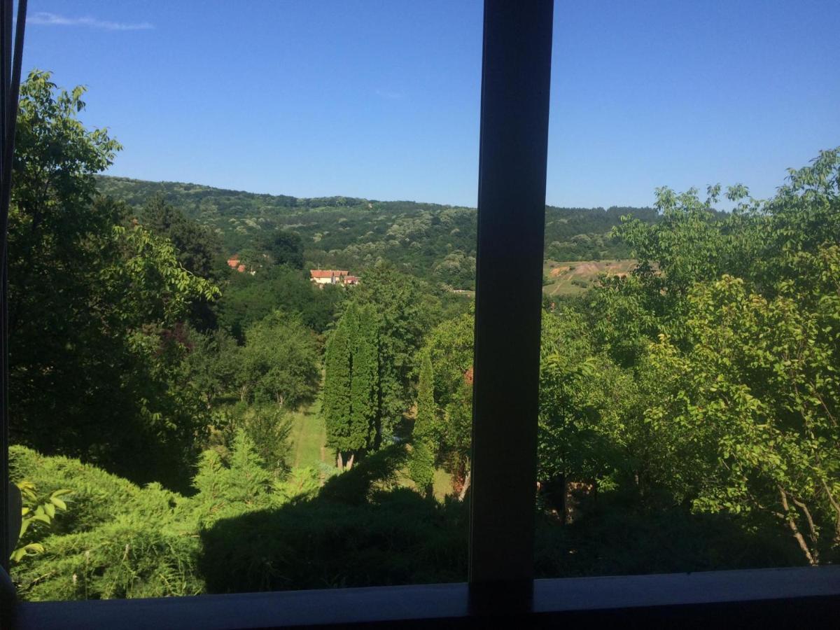 Holiday Home Nanin Konak 2 Vrdnik Buitenkant foto