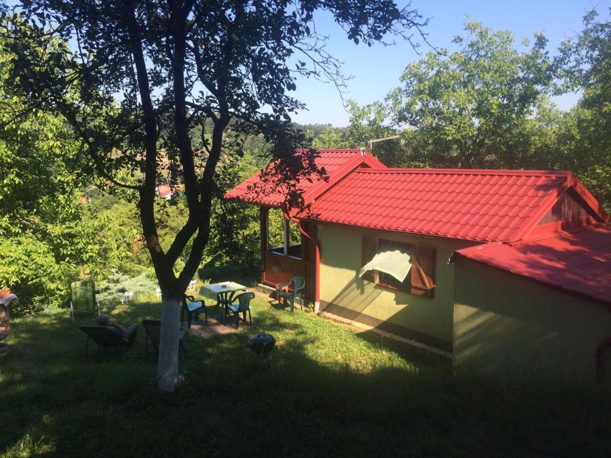 Holiday Home Nanin Konak 2 Vrdnik Buitenkant foto