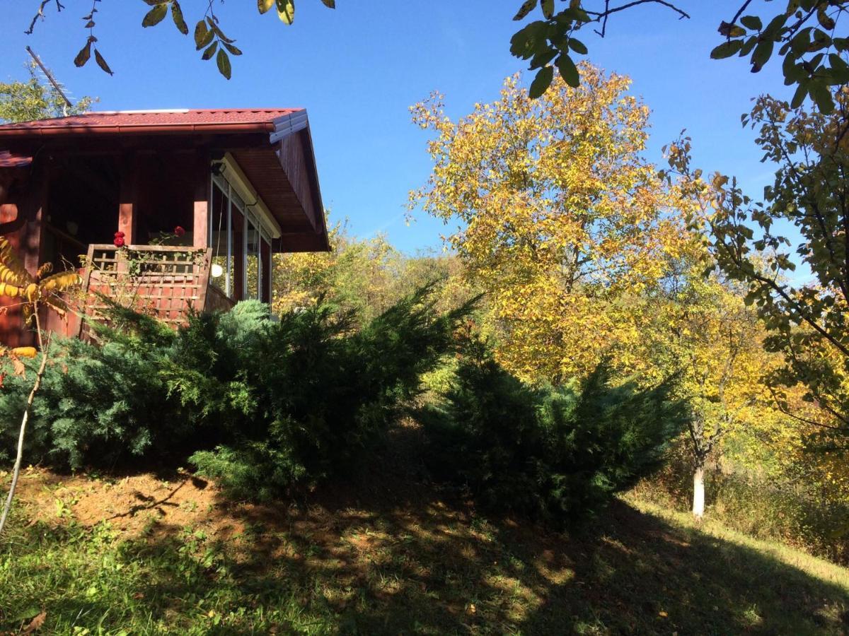 Holiday Home Nanin Konak 2 Vrdnik Buitenkant foto