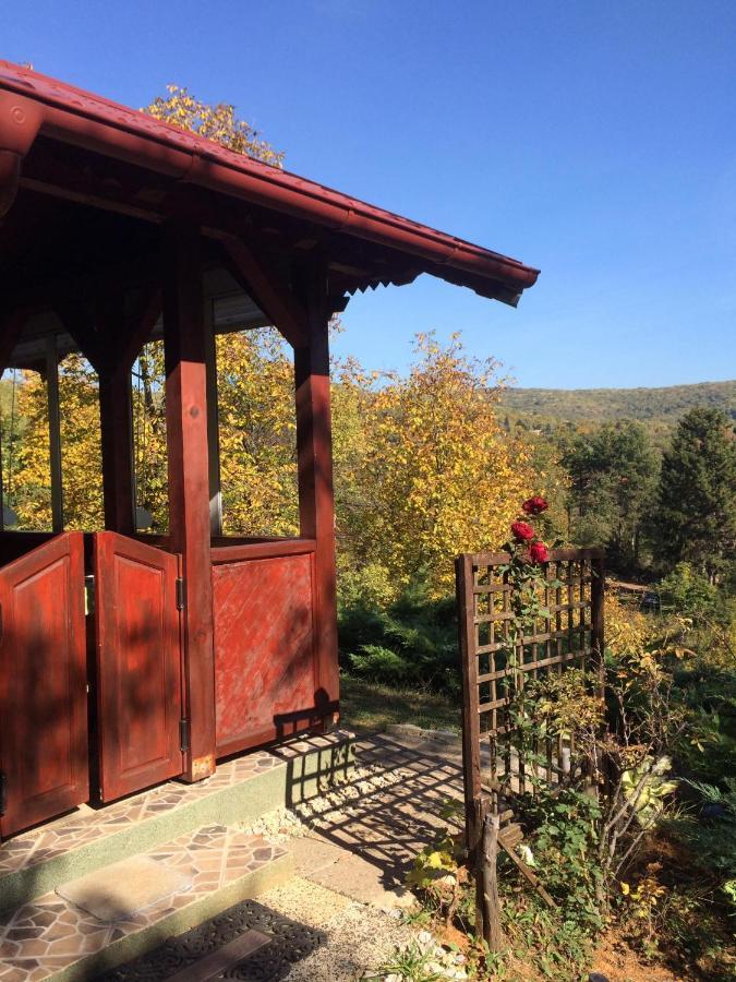 Holiday Home Nanin Konak 2 Vrdnik Buitenkant foto