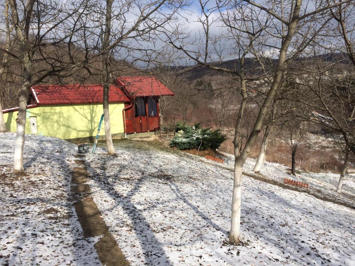 Holiday Home Nanin Konak 2 Vrdnik Buitenkant foto
