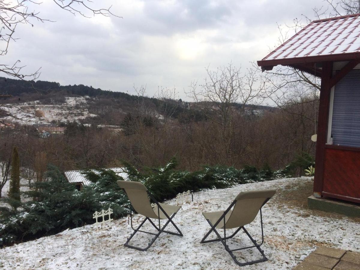 Holiday Home Nanin Konak 2 Vrdnik Buitenkant foto