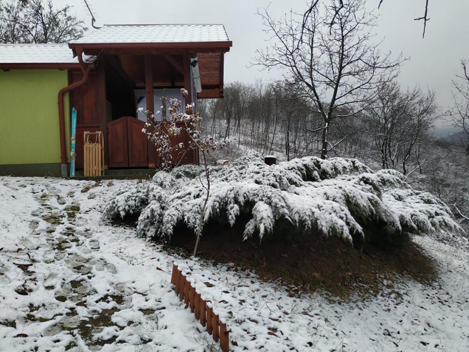 Holiday Home Nanin Konak 2 Vrdnik Buitenkant foto