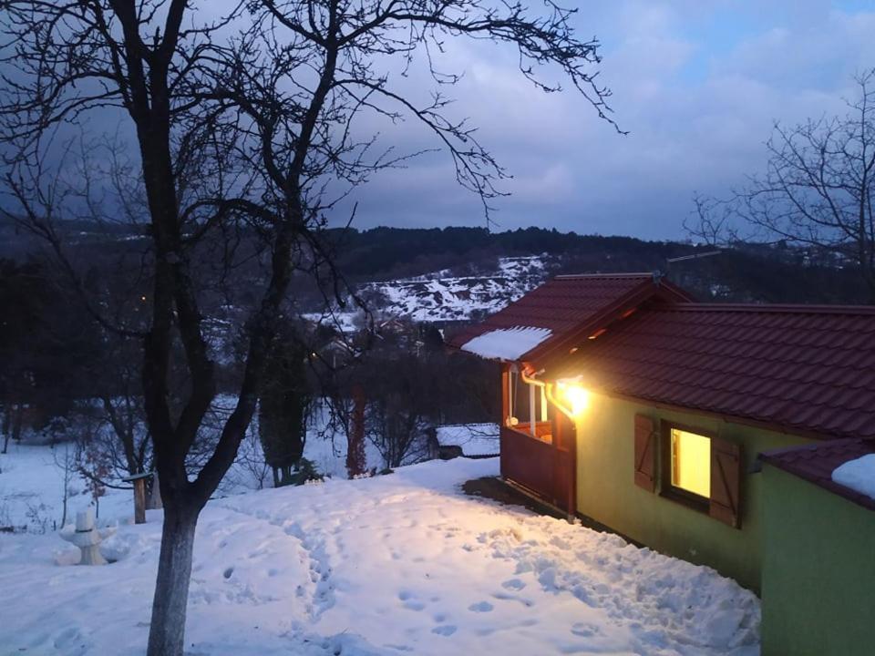 Holiday Home Nanin Konak 2 Vrdnik Buitenkant foto