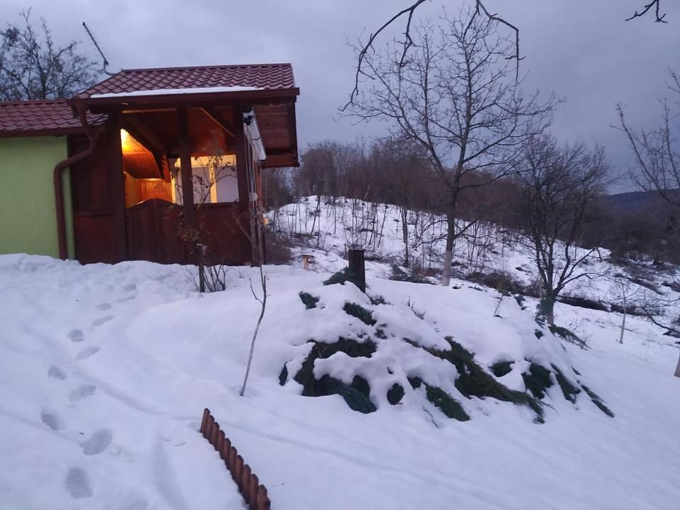 Holiday Home Nanin Konak 2 Vrdnik Buitenkant foto