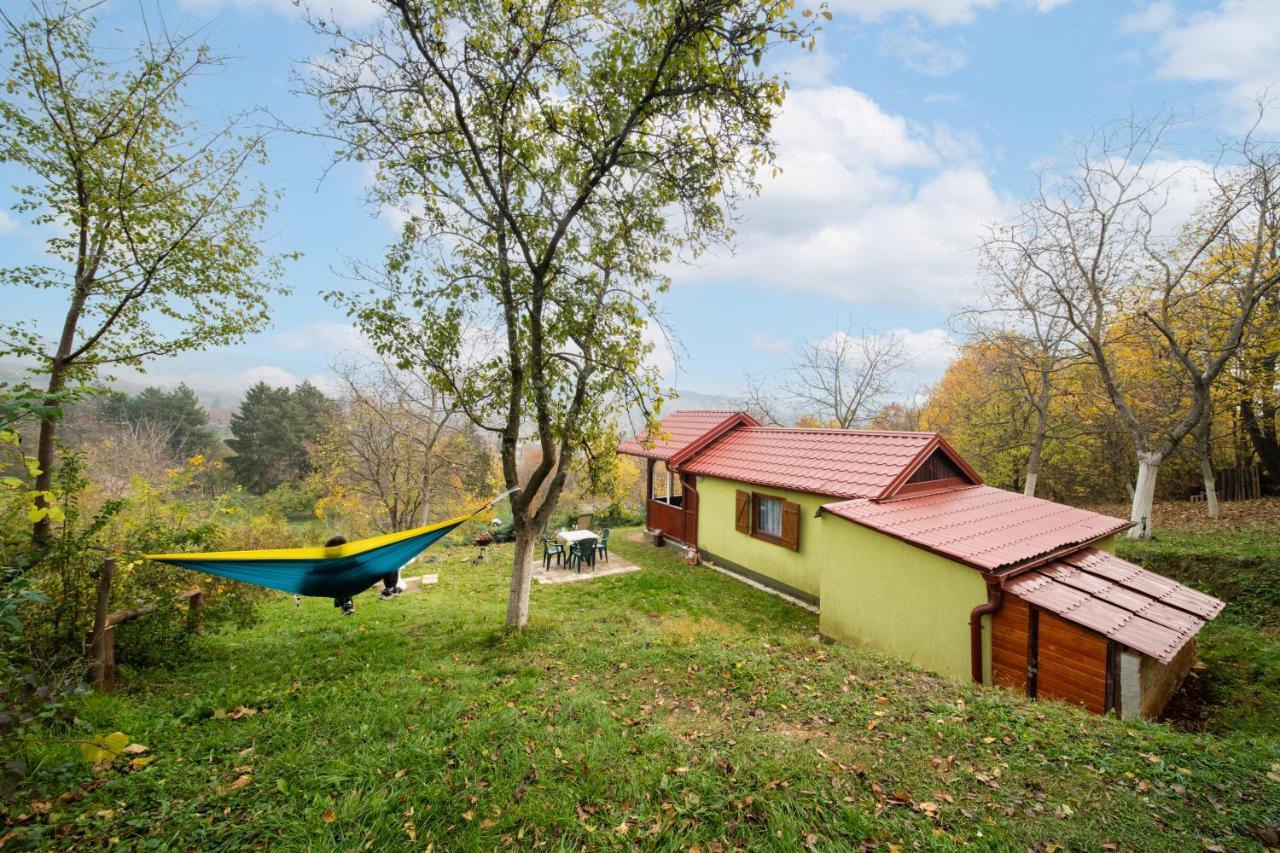 Holiday Home Nanin Konak 2 Vrdnik Buitenkant foto