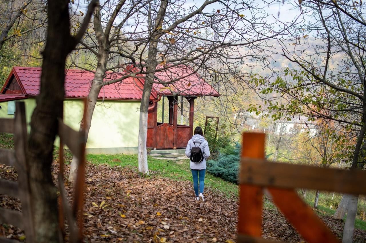 Holiday Home Nanin Konak 2 Vrdnik Buitenkant foto
