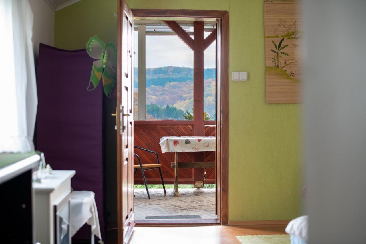 Holiday Home Nanin Konak 2 Vrdnik Buitenkant foto
