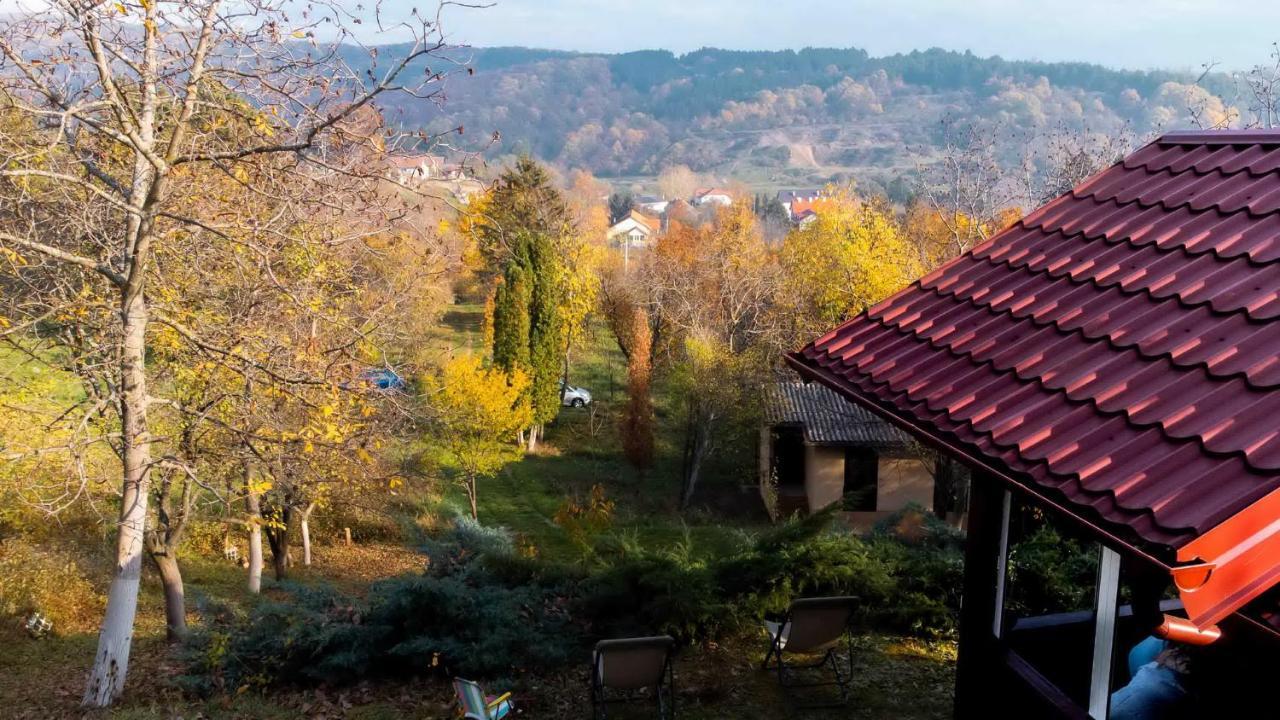 Holiday Home Nanin Konak 2 Vrdnik Buitenkant foto