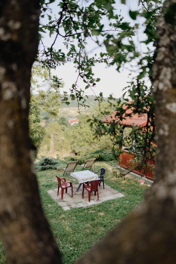 Holiday Home Nanin Konak 2 Vrdnik Buitenkant foto