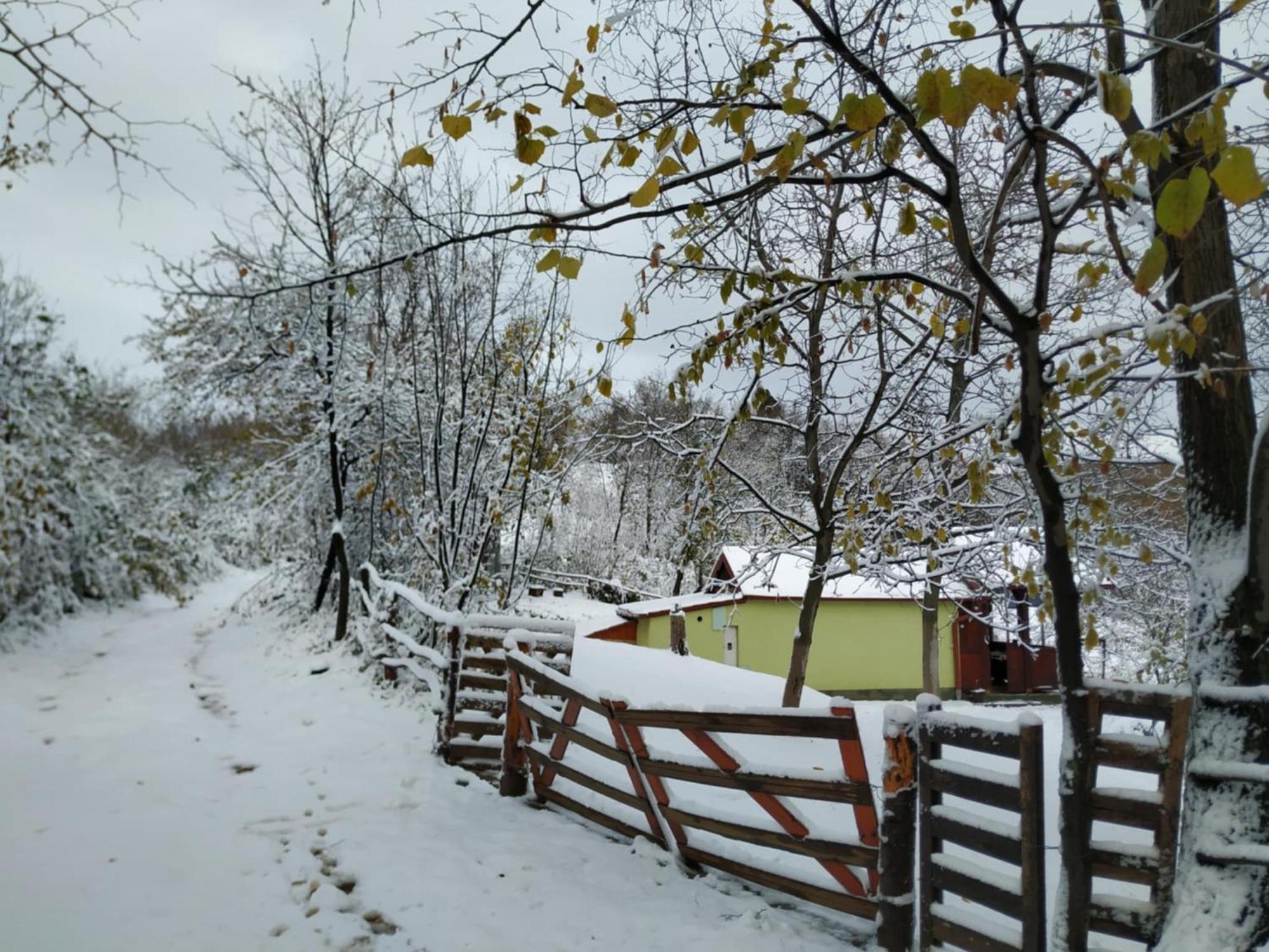 Holiday Home Nanin Konak 2 Vrdnik Buitenkant foto