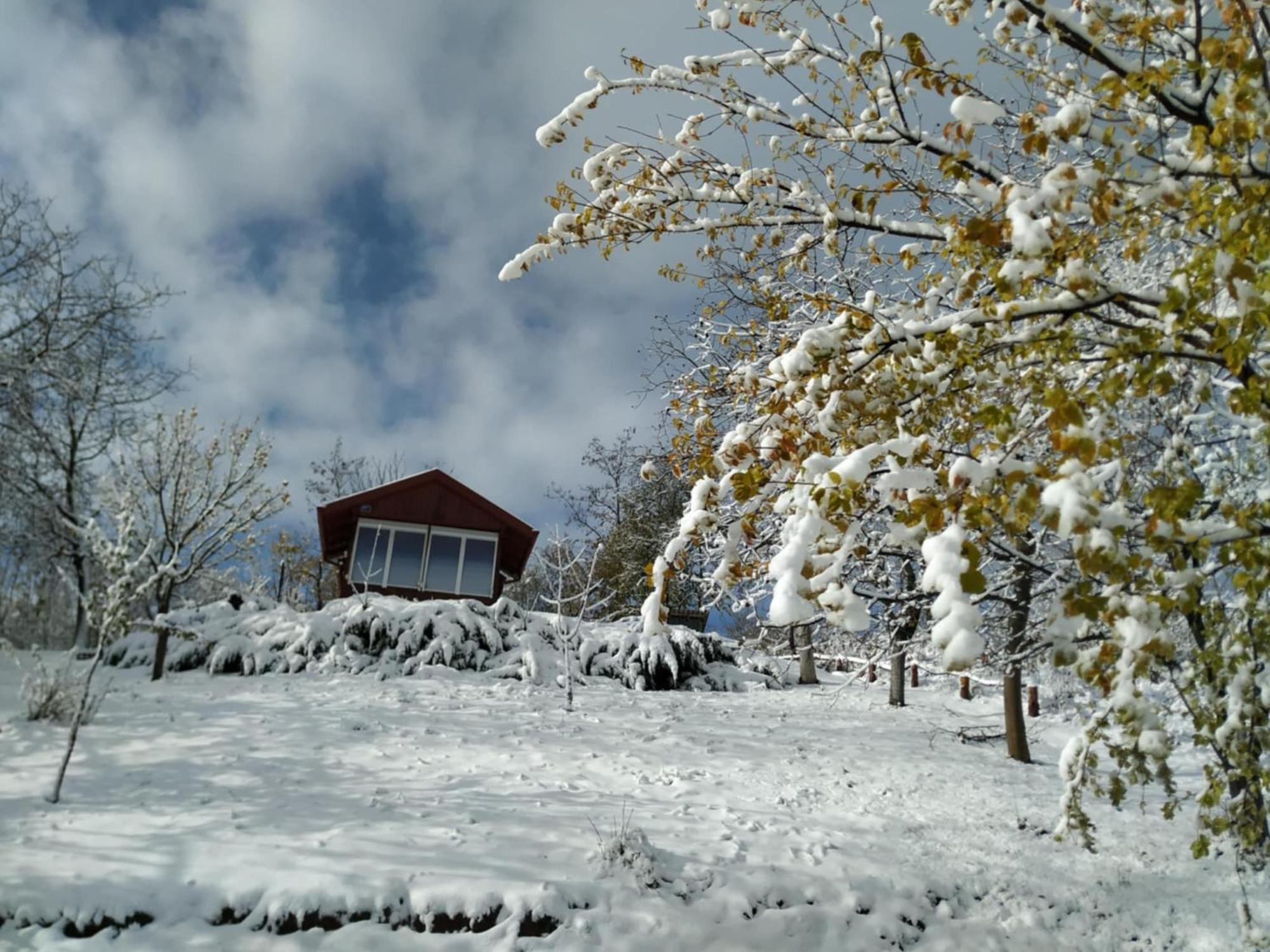 Holiday Home Nanin Konak 2 Vrdnik Buitenkant foto
