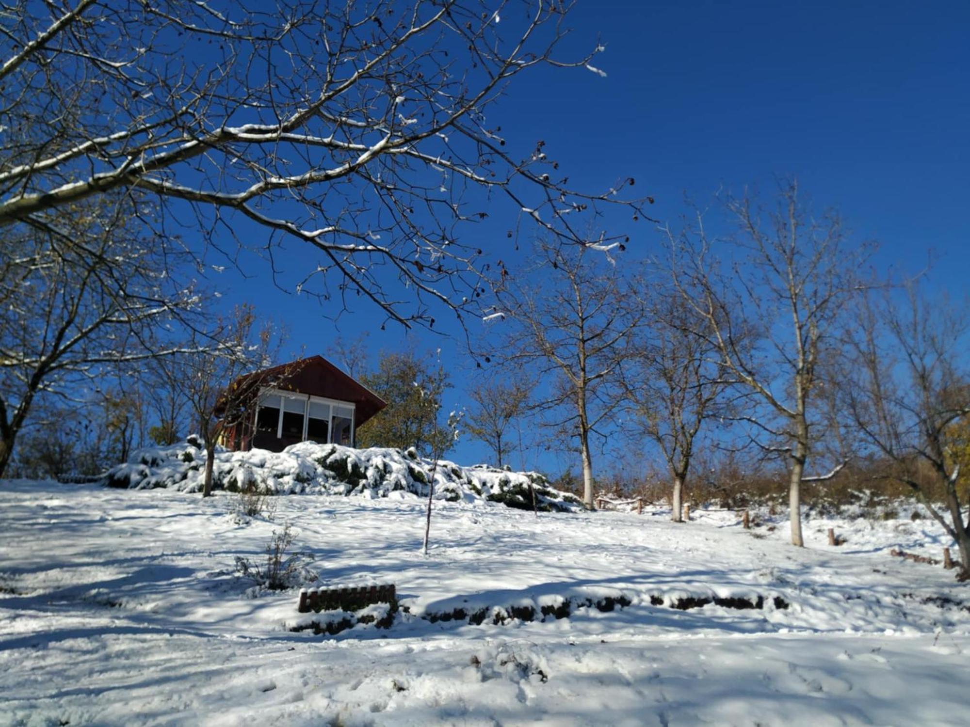 Holiday Home Nanin Konak 2 Vrdnik Buitenkant foto