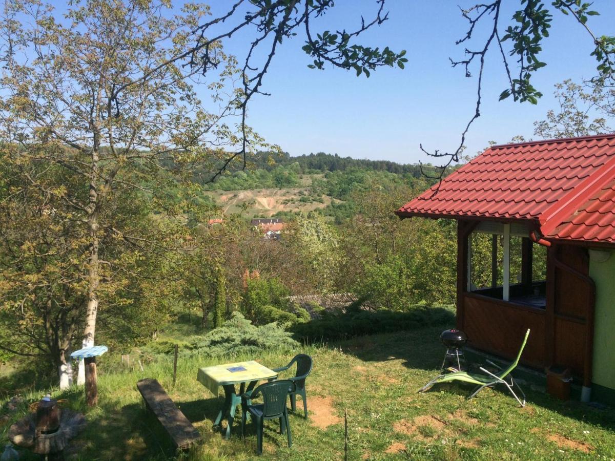 Holiday Home Nanin Konak 2 Vrdnik Buitenkant foto