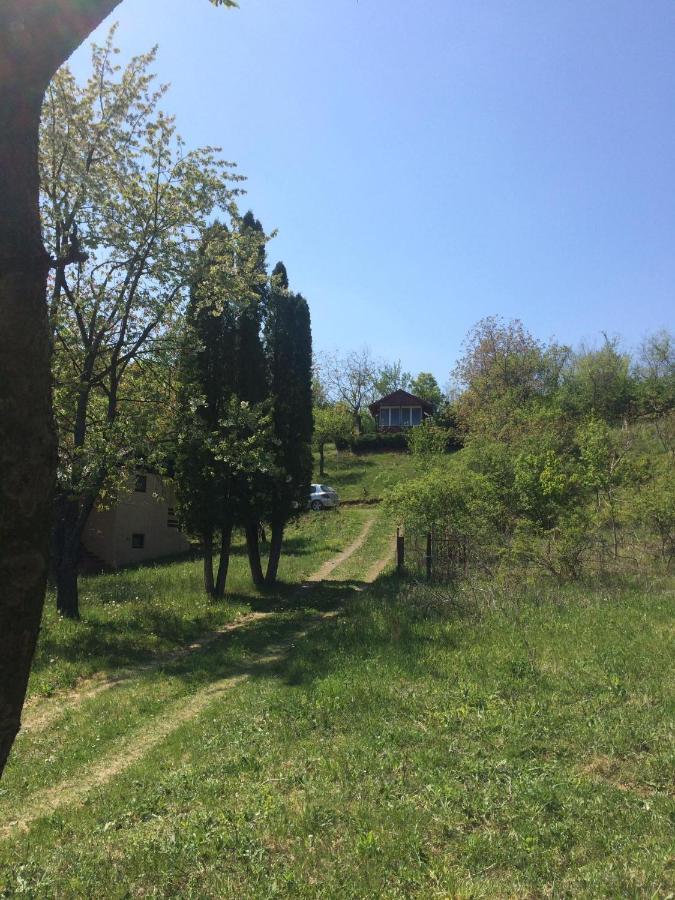 Holiday Home Nanin Konak 2 Vrdnik Buitenkant foto