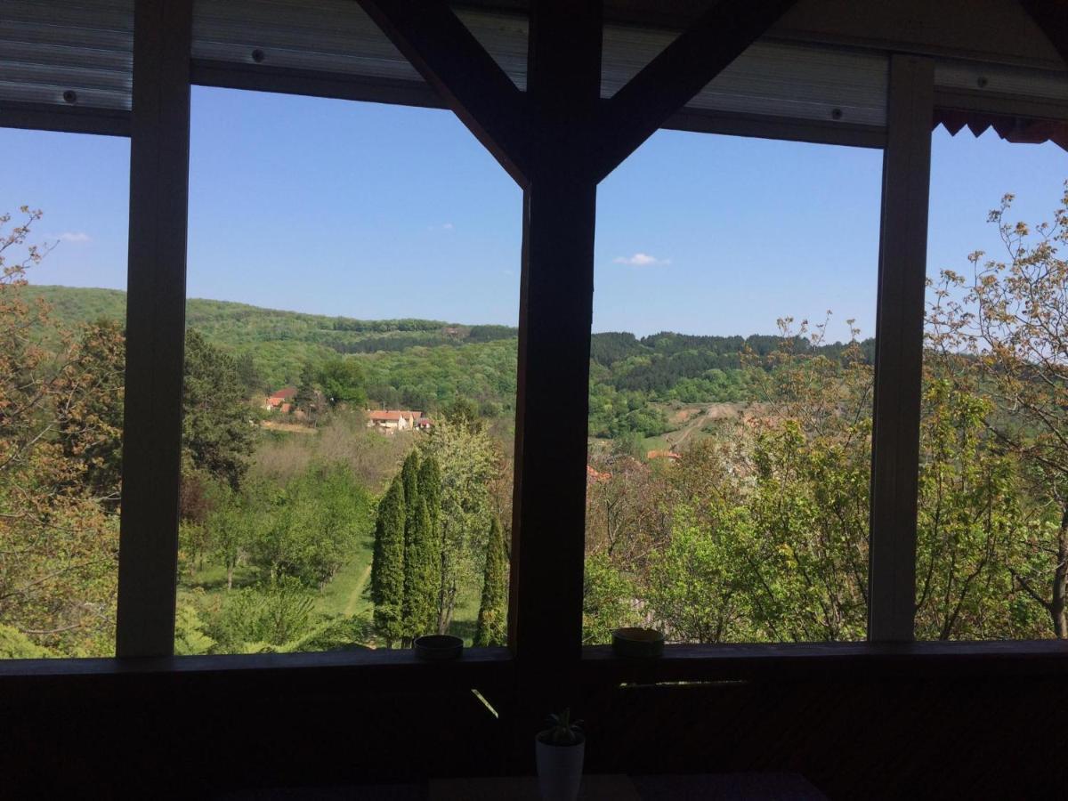 Holiday Home Nanin Konak 2 Vrdnik Buitenkant foto